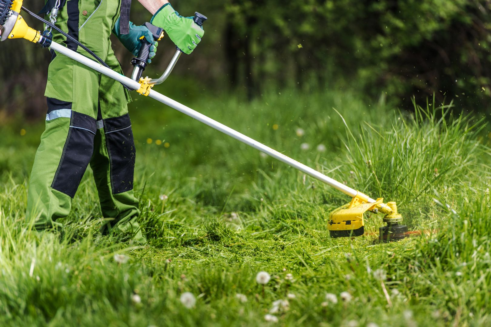 Entretien d'espaces verts professionnels